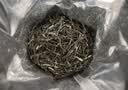 乐品乐茶明前特级毛尖绿茶2026新茶嫩芽春茶自己喝茶叶礼盒装250g送长辈 实拍图