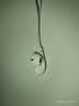 Apple/苹果 EarPods USB-C有线耳机 type-c有线耳机苹果耳机 苹果17有线耳机笔记本耳机游戏音乐 实拍图