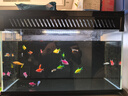 奕思瑞婴幼儿玩具0-6个月以上早教仿真遥控器1-3岁宝宝儿童手机玩具可咬 实拍图