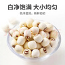 方家铺子六星莲子250g 湘潭磨皮通芯白莲子 中大号去芯百合芡实银耳羹伴侣 实拍图