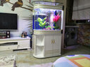 喜灏子弹头鱼缸水族箱客厅家用中型大型1.2米屏风隔断免换水鞋柜鱼缸 包到家安装 0.8米长实木夹板柜一套-底滤 实拍图