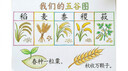 Apple/苹果 妙控键盘-中文 (拼音) 轻薄苹果键盘蓝牙键盘无线键盘办公键盘 实拍图