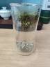 容山堂绿茶专用双层玻璃杯泡绿茶耐热防烫泡茶杯办公家用山峦雪山绿茶杯 玻璃束腰雪山绿茶杯 300ml 1个 实拍图