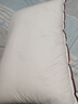 水星家纺枕头枕芯酒店枕头护颈枕头芯家用单个纯棉抗菌可水洗中枕48x74cm 实拍图
