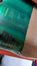 可口可乐（Coca-Cola）檀健次代言 雪碧Sprite零卡无糖饮料 330ml*24摩登罐 实拍图