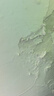 三棵树漆补墙膏耐水修补膏家用乳胶漆白色墙皮脱落裂缝去污墙面修复腻子粉 实拍图