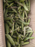 新鲜豌豆四川带壳青豆角水果甜豆荚农家蔬菜 四川新鲜青豌豆荚净重5斤 实拍图