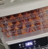 京严食品烘干机家用小型果蔬干果机宠物零食肉类冻干风干机水果烤干器 AI智能触控+一键设置【5层大容量】 【层高可调】超长定时免看管 实拍图