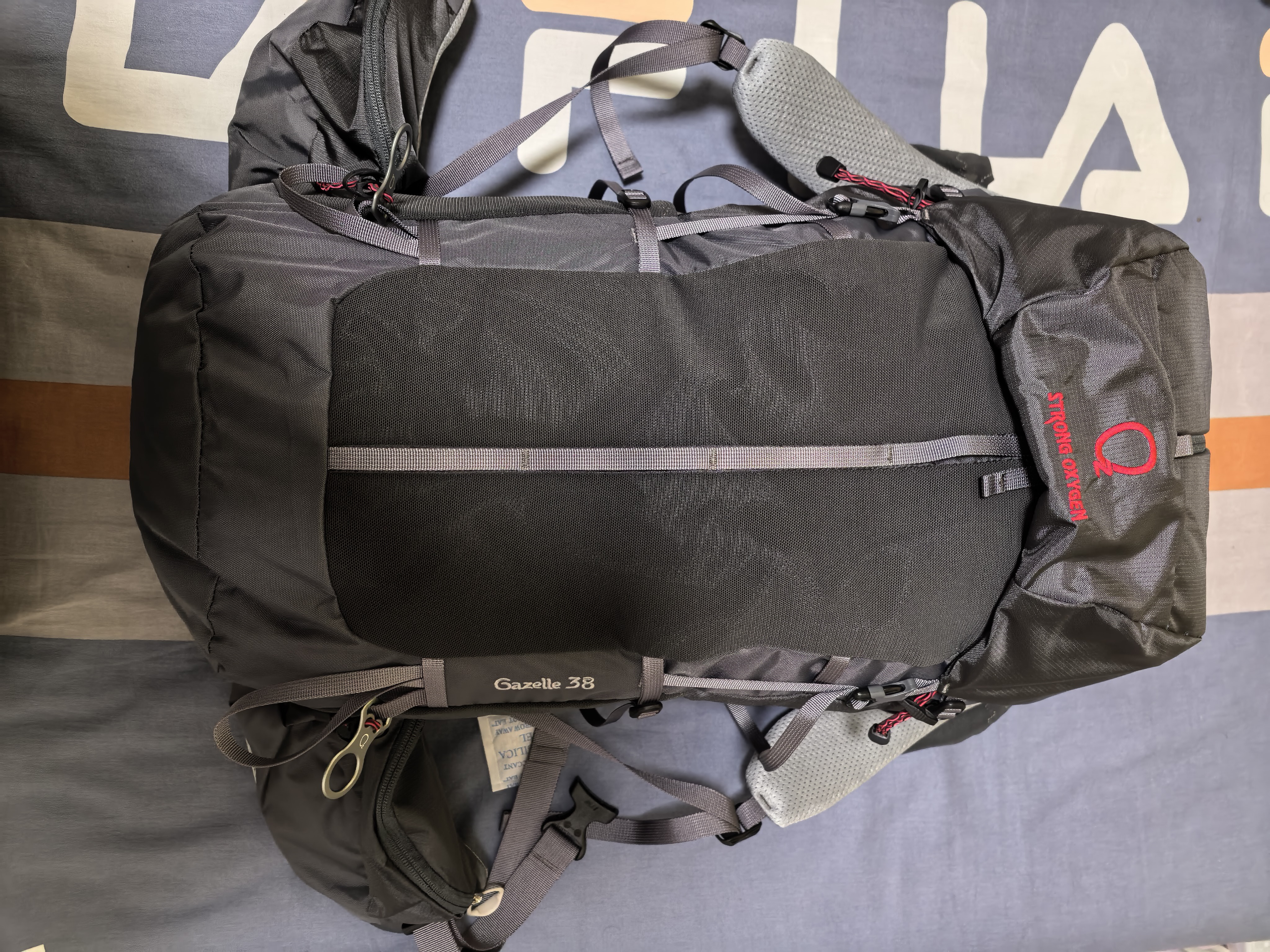 STRONG OXYGEN 强氧 羚羊26升 双肩背包 登山包36 户外 徒步露营旅行通勤郊游 升级款38升灰色 均码 实拍图