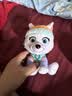汪汪队立大功（PAW PATROL）毛绒玩具陪睡玩偶经典款珠珠小号坐姿公仔男女孩儿童生日礼物 实拍图