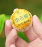 华祥苑茶叶 小青柑普洱茶熟茶 熟普茶叶4年陈柑普茶250g中秋节礼品送礼 实拍图