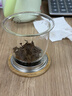 TEAHUE茶杯玻璃泡茶杯茶水分离绿茶杯耐热加厚带过滤男女办公茶道水杯子 实拍图
