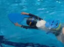 京东京造 浮板儿童游泳浮板成人游泳辅助打水板A字浮力板漂浮板 黄灰 实拍图