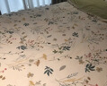 安睡宝（SOMERELLE）100%全棉床上三件套纯棉 床单款床上用品被套150*200cm0.9-1.2米 实拍图