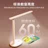 飞利浦（PHILIPS）充电护眼台灯学习家用充插两用学生宿舍床头小雅5200毫安 实拍图