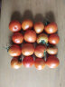 绿鲜森（lvxiansen）（拍3份1斤装发5斤）西红柿沙瓤新鲜蔬菜健康轻食 1斤优选 实拍图