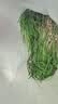 园林神器铲子锰钢挖土种花野菜铁铲养花工具花卉除草农用种菜铁锨 65锰钢木柄平铲2把 实拍图