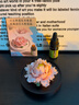 Para Ella永生花陶瓷牡丹生日礼物伴手礼母亲节妈妈结婚纪念护士退休情人节 实拍图