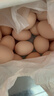天珍牧场NSF无抗生素谷物鲜鸡蛋30枚3斤安全无激素 宝宝辅食 早餐食材 实拍图