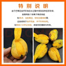 凯特芒芒果当季热带水果超甜现摘孕妇台芒整箱时令礼盒 凯特芒果净重8斤单果300g+ 实拍图