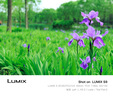 松下S9（20-60mm F3.5-5.6）（Panasonic）全画幅微单 实时Lut 滤镜直出 连接app极速分享 灰银 实拍图
