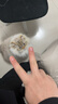 喔喔（WOWO）猫罐头猫零食 猫湿粮成猫宠物猫用浓汤补水罐 24罐混装(金枪鱼+鸡肉) 实拍图