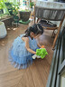 迪士尼爱艾莎公主裙子女童连衣裙2026夏季新款网纱六一演出礼服生日礼物 实拍图