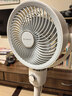 艾美特（AIRMATE）【小暴风】空气循环扇大风量摇头电风扇家用台式落地扇升级加高换气轻音柔风小风扇 FA18-X115 实拍图