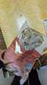 美好 酥炸平菇2斤装1kg 预制菜快手菜半成品菜油炸小吃 空气炸锅食材 实拍图