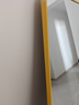 初学者 穿衣镜 全身落地镜试衣镜家用防爆壁挂衣帽间铝合金网红大镜子 香槟金150*40【壁挂+落地】 实拍图