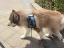 皇家狗粮老年成犬狗粮犬粮宠物大型犬SGR26全价犬粮≥5岁15KG 实拍图