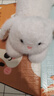 名创优品（MINISO）塔尼兔系列趴姿公仔毛绒玩具玩偶兔子娃娃抱枕生日礼物儿童节礼物 实拍图