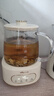 小熊（Bear）全玻璃养生壶 纯玻璃煮茶壶恒温壶 多功能炖煮花茶壶烧水壶 1.5L YSH-H15L2 实拍图