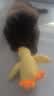 欢宠网宠物狗玩具狗狗自己玩解闷自嗨耐咬磨牙发声小狗幼犬遛狗逗狗神器 实拍图
