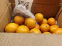 名创优品（MINISO）洞洞鞋女夏季外穿沙滩凉鞋防滑厚底踩屎感脚包头凉拖鞋骨白36-37 实拍图