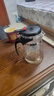 飘逸壶泡茶壶耐热高温玻璃沏茶过滤内胆冲茶器家用茶具套装 飘逸杯500mL1个 实拍图