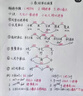 雅诗兰黛小棕瓶精华露75ml抗老修护紧致护肤套装化妆品礼盒生日母亲节礼物 实拍图