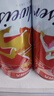 百威啤酒TOP淡色拉格450ml*18听整箱装京东自营新老包装混发踏春送礼 实拍图