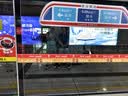 一农 一级粒粒香铁观音2包组合（250g*2） 乌龙茶茶叶 福建茗茶 实拍图