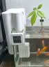 疯狂水草小型鱼缸壁挂过滤器C1净水静音循环泵三合一增氧泵吸粪 实拍图