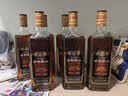 古越龙山 库藏金五年 半干型 绍兴黄酒 600ml*6瓶 整箱装 实拍图