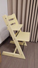 Stokke【618抢购中】成长椅源自欧洲宝宝TT多功能儿童餐椅家用餐椅 【新色】柠檬黄单椅 实拍图
