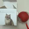 【京东快递】猫咪玩具自嗨解闷智能逗猫球自动逗猫遛猫遛狗突突球 奢华版【带绳款宠物球】 实拍图