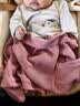 怡戈（Ekobebe）小元宝新生婴儿提篮式儿童安全座椅汽车用宝宝便携车载提篮奶酪白 实拍图