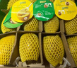 佳沛（zespri）新西兰 阳光金奇异果12粒特大果单果124-146g 猕猴桃水果礼盒 实拍图