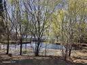 大人有喜藏肉神器男士收腹背心束胸衣束腰收腹瘦身紧身束身塑身衣黑色  XL 实拍图