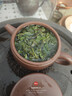 八马茶业乌龙茶金马罐 安溪铁观音清香型一级252g 罐装茶叶自己喝 实拍图