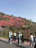 尊匠苹果充电器17-6适配器原装正品充电线13氮化镓30/40W快充线PD套装iPhone14ProMax手机充电头数据线 【苹果6-14系列】30w快充头+闪充线丨1米套装 实拍图