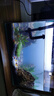 西游水族鱼缸水族箱客厅小型迷你桌面免换水生态造景小金鱼缸热弯超清玻璃 长50*宽26*高30-云影群峰款造景全套 实拍图