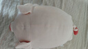 名创优品（MINISO）小猪B-BO弹力超柔趴姿公仔毛绒玩具玩偶抱枕靠枕娃娃生日礼物女 实拍图